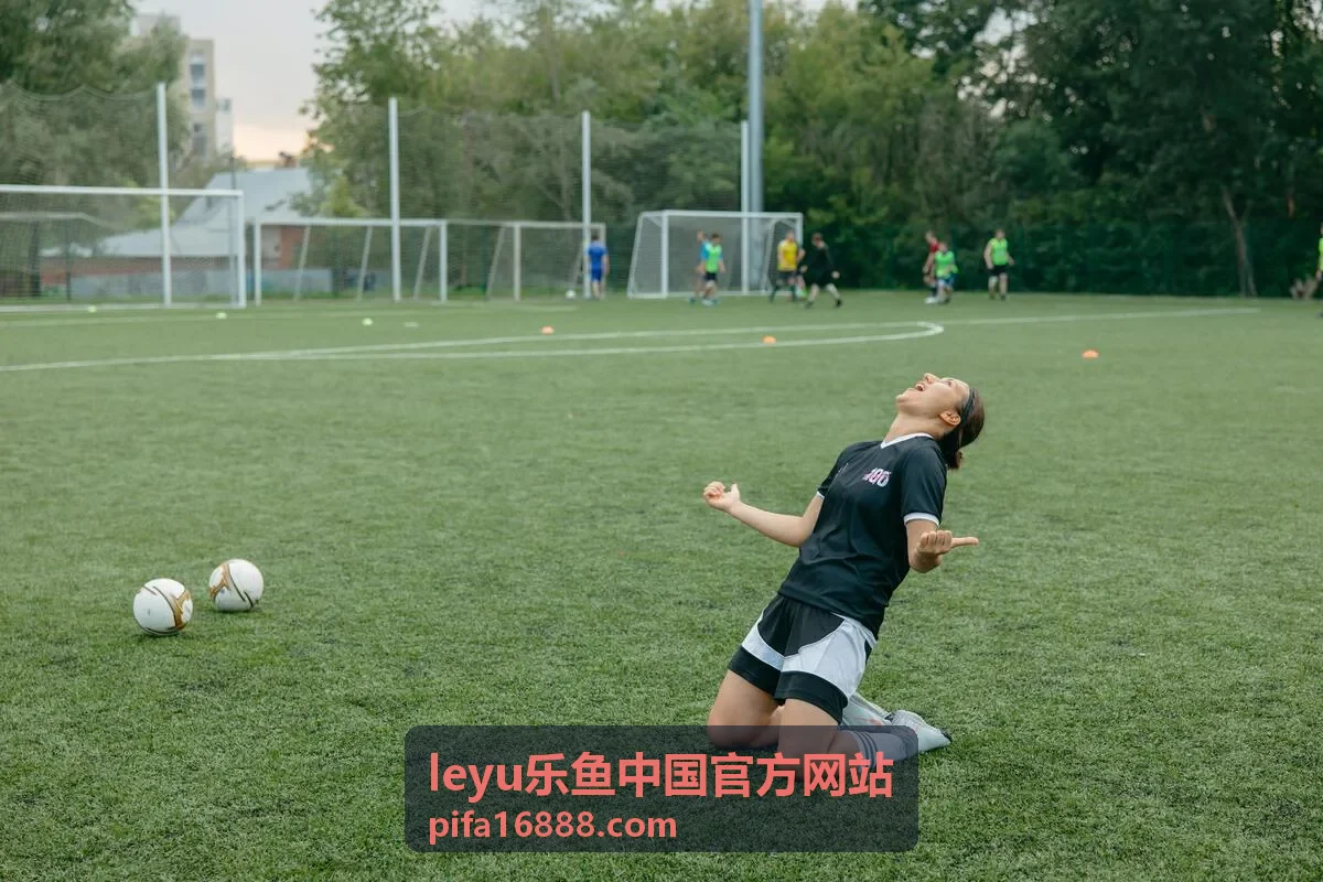 leyu乐鱼中国官方网站片库推荐之南方列车